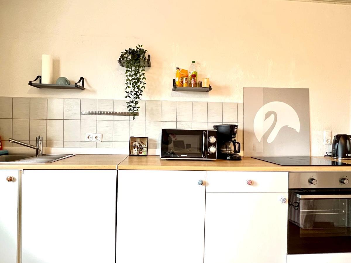 Der Schwan 7 - 3 Schlafzimmer - 2 Balkone - Zentral - 100 Qm Düren - Eifel Екстериор снимка